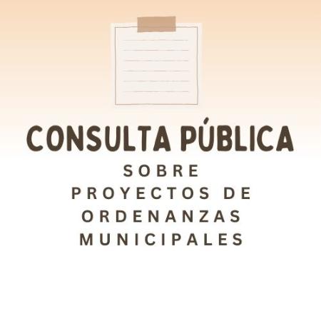 Imagen Consulta pública sobre el proyecto de elaboración de la ordenanza de...