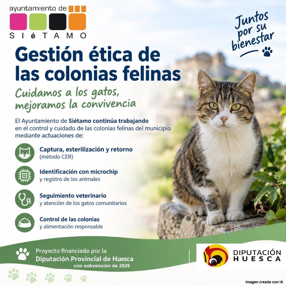 Imagen El Ayuntamiento de Siétamo impulsa la gestión ética de las colonias felinas con el apoyo de la Diputación Provincial de Huesca